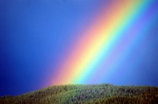 «Веселка»: 30-й тиждень НУШ для першого класу