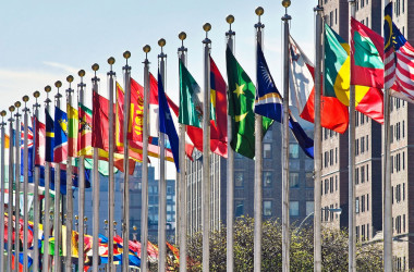 Учні МАН вибороли 5 медалей на ICYS-2019