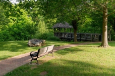 Садово-паркове господарство — спеціальність рівня «бакалавр»