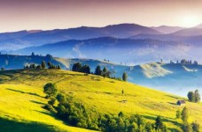 «Я і моя Батьківщина»: 6-й тиждень НУШ для першого класу