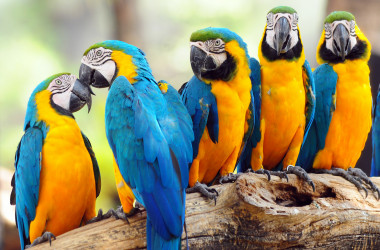 Відбулось зовнішнє оцінювання з біології