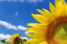 Кабінет Міністрів ухвалив рішення про створення Всеукраїнського центру патріотичного виховання молоді