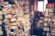 МОН вкладається в графік друку підручників, - Гриневич