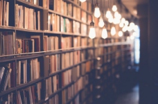 Новосад: у школі мають вивчати сучасних письменників