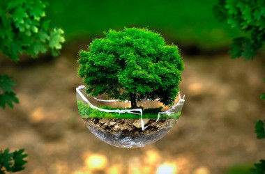 Екологія — спеціальність рівня «магістр»