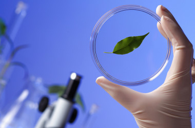 Біологія та біохімія — спеціальність рівня «бакалавр»