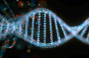 Біологія та біохімія — спеціальність рівня «магістр»