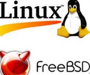 Школи намагаються переходити на безкоштовне програмне забезпечення