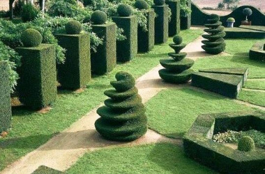 Садово-паркове господарство — спеціальність рівня «магістр»