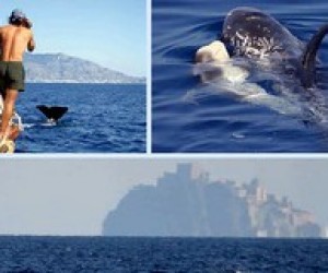 Новий напрямок екотуризму тепер і в Україні