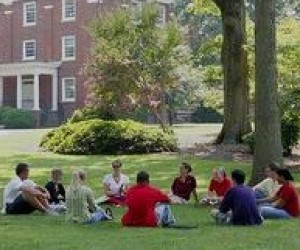 Вища освіта за кордоном: коледжі, як альтернатива університетам