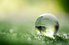 Триває прийом заявок на науковий форум Green Talents