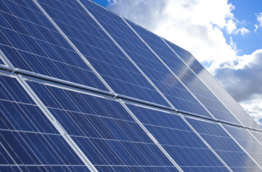 НУ «ОЮА» впроваджує програму «Зелений університет»