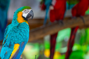 ЗНО з біології: напередодні тестування