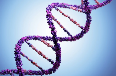 Поріг тесту ЗНО з біології склав 22 тестових бали