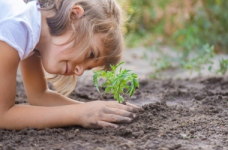 Цікава екологія для школярів молодших класів