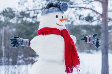 Двох шкільних зимових канікул не буде, - МОН