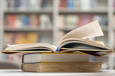 МОН внесло кандидатури на посаду директора ІМЗО