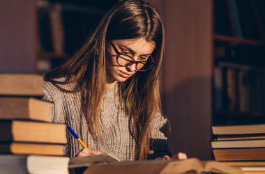 Шкарлет: держава не зможе фінансувати таку кількість вишів