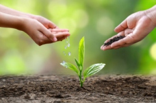 Учнів запрошують в екологічний онлайн-табір