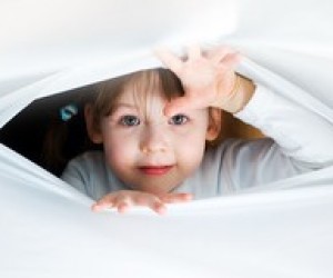 11-річка як дзеркало нової освітньої політики