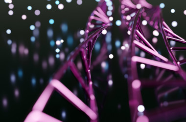 Опубліковані відповіді на тест ЗНО з біології