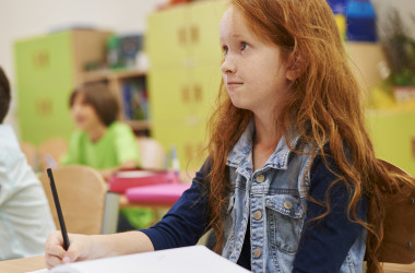 В Україні заснували позапланові перевірки шкіл