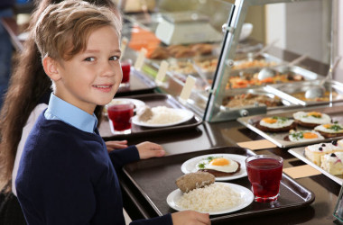 Порушення у підготовці до навчання виявлено у 65% шкіл