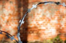 МОН поширюватиме знання про події Голокосту