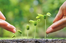 Молодь запрошують до участі в програмі UPSHIFT