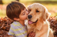 Школи запрошують провести Міжнародний урок доброти