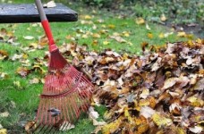 Експлуатація дитячої праці є неприпустимою, – омбудсмен