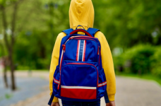 На дистанційному навчанні перебувають 7% шкіл країни