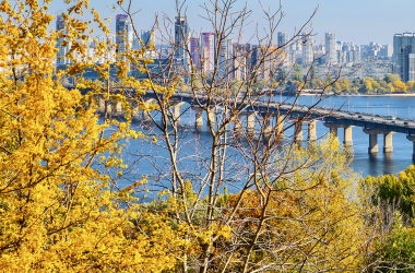 Київ готується до переходу у «червону» зону