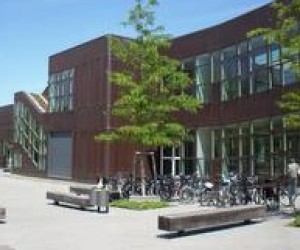 Літня школа "FUBiS": Берлін, студенти і... трохи навчання