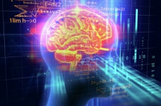 Школярка з Києва перемогла в змаганні з нейронаук