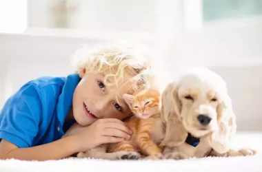 Як вчителі формують у дітей любов до тварин