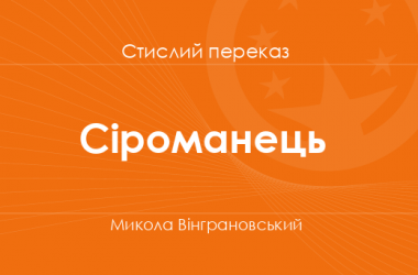«Сіроманець» Микола Вінграновський (стислий переказ)