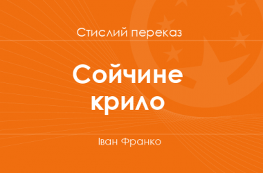 «Сойчине крило» Іван Франко (стислий переказ)