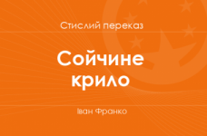 «Сойчине крило» Іван Франко (стислий переказ)