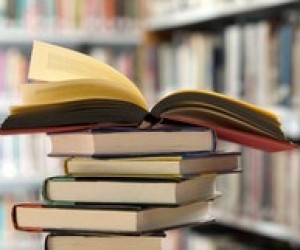 Зривів навчального процесу через відсутність підручників не буде – О.Удод