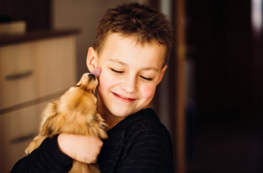 Школярів з усієї країни відзначили за добрі справи для тварин