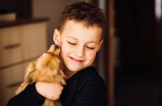 Школярів з усієї країни відзначили за добрі справи для тварин