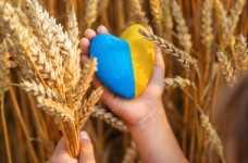 Усе про освіту дітей-біженців за кордоном