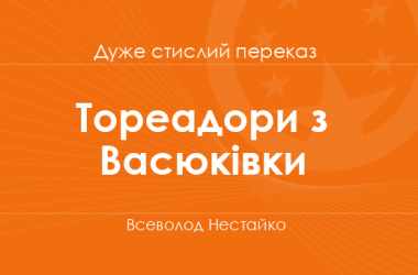 «Тореадори з Васюківки» Всеволод Нестайко (дуже стислий переказ)