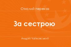 «За сестрою» Андрій Чайковський (стислий переказ)