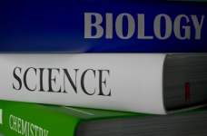 Високоцитовані публікації українських авторів 2022. Scopus