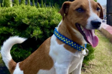 Школам підготували уроки з мінної безпеки