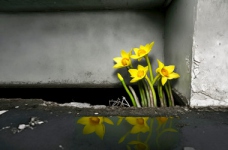 Освіта в процесі деокупації: Стратегія відновлення освіти Луганщини