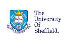 Університет Шеффілда в Україні